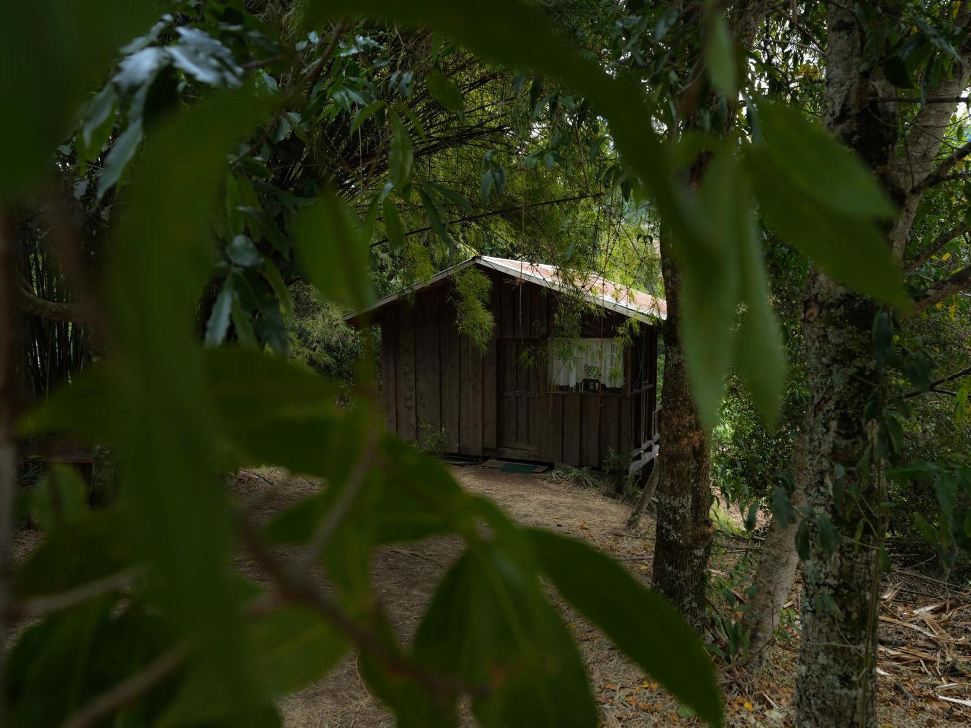 Villa Valchi Hospedaje De Montana Copey Exterior foto